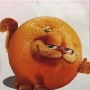 Meet your Posher, Jamison